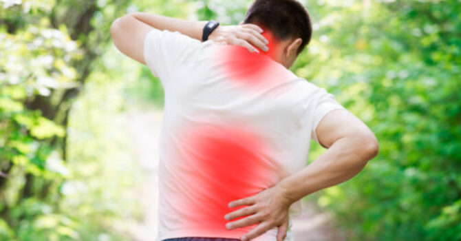 BEST 10 MINUTE HIP & LOW BACK MOBILITY ROUTINE image