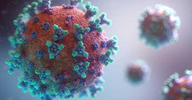 BUILDING A HEALTHY IMMUNE SYSTEM: CORONAVIRUS PROTECTION image