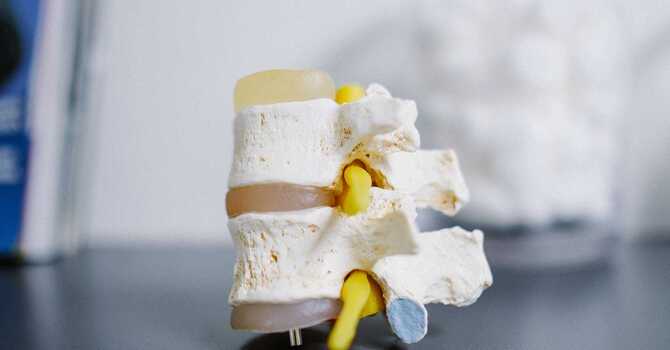 MAGNESIUM: AN ESSENTIAL NUTRIENT image