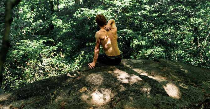 SOMETIMES IT IS A ZEBRA, NOT A HORSE image